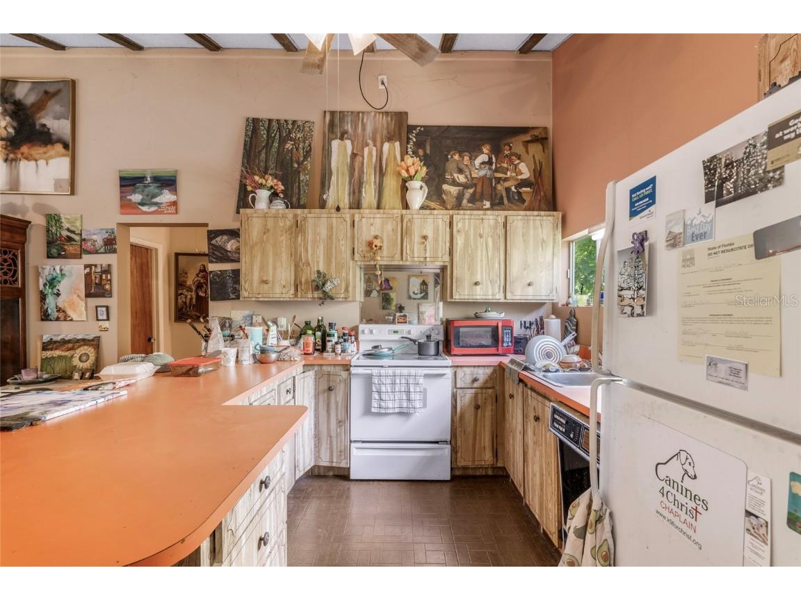 20125 Green Grass Lane Lutz FL 33558 W7879081 image59