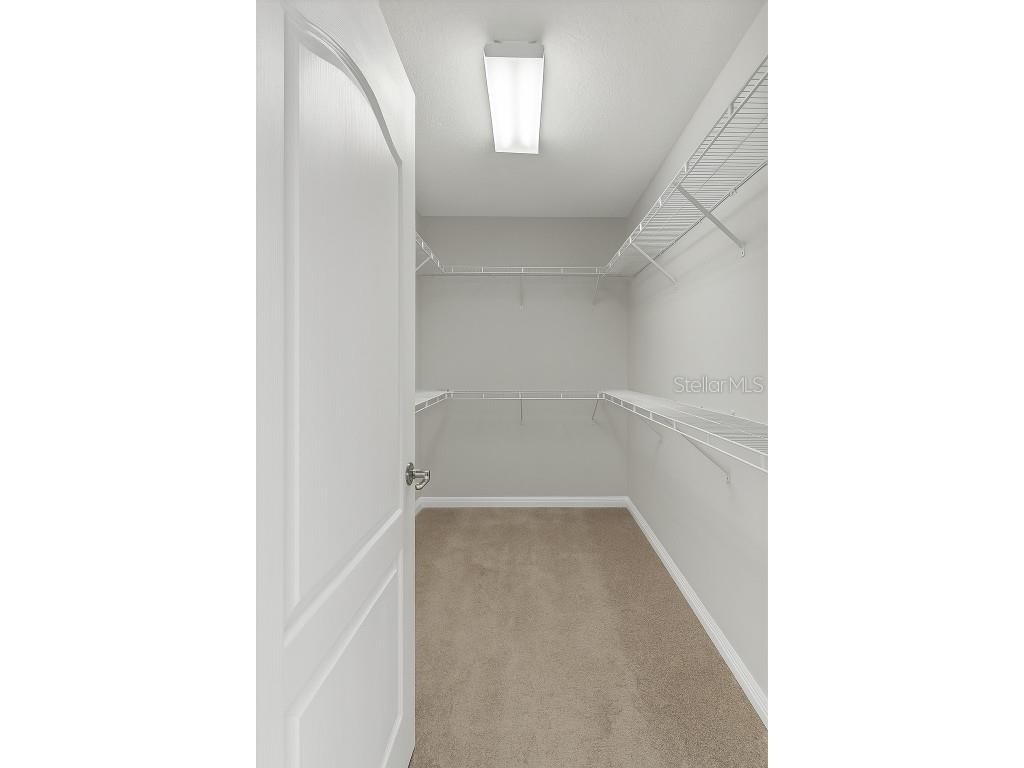 20126 Nob Oak Avenue Tampa FL 33647 O6354832 image20