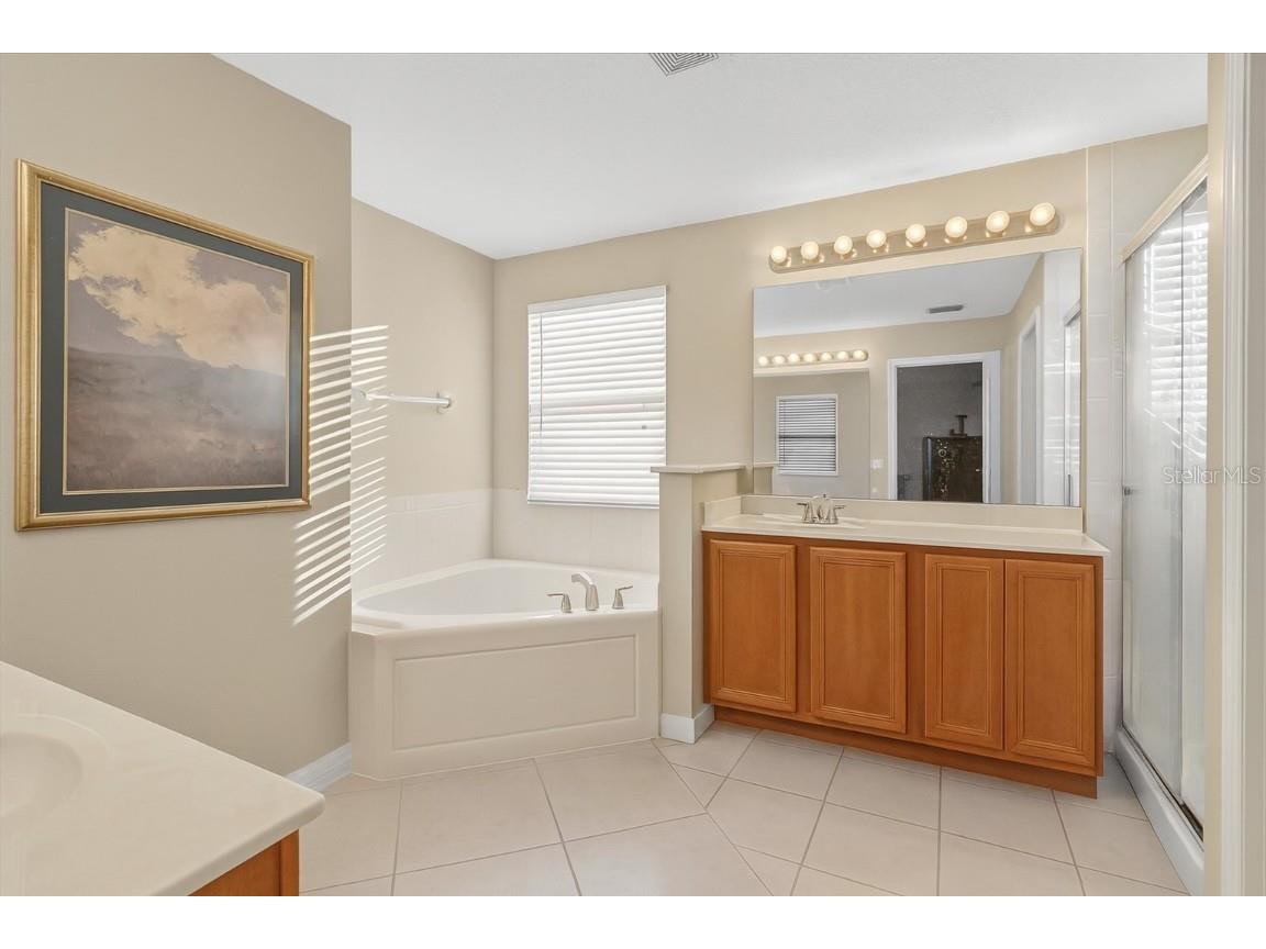 20126 Nob Oak Avenue Tampa FL 33647 O6354832 image21