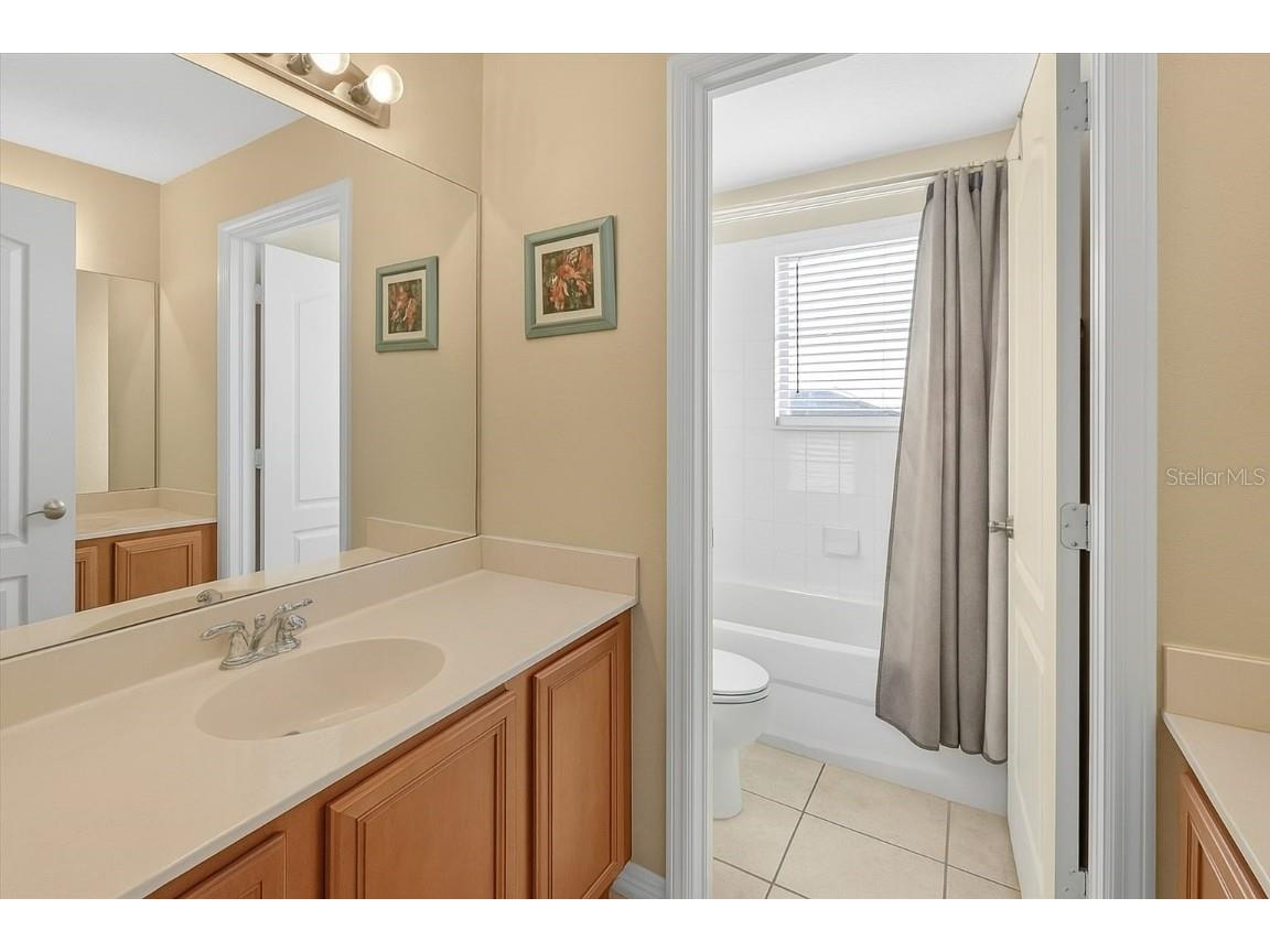 20126 Nob Oak Avenue Tampa FL 33647 O6354832 image27