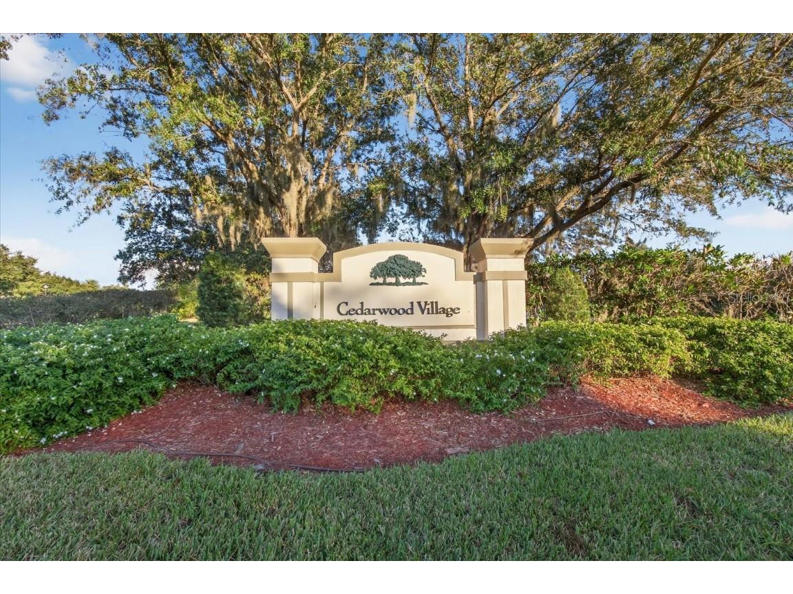 20126 Nob Oak Avenue Tampa FL 33647 O6354832 image46