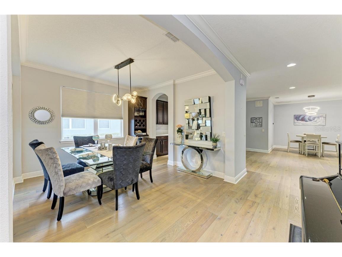 20126 Outpost Point Drive Tampa FL 33647 TB8407630 image12