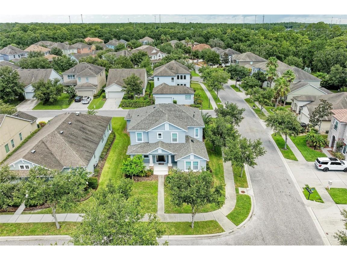 20126 Outpost Point Drive Tampa FL 33647 TB8407630 image2