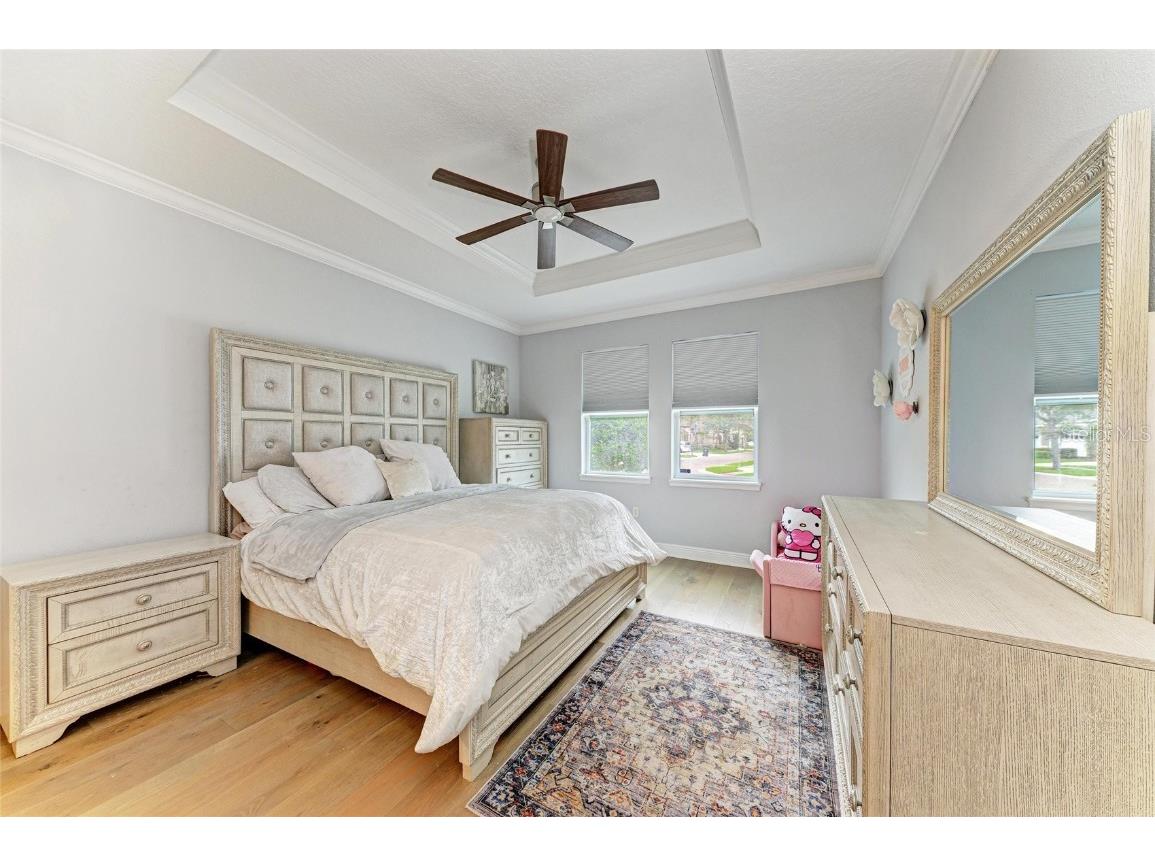 20126 Outpost Point Drive Tampa FL 33647 TB8407630 image29