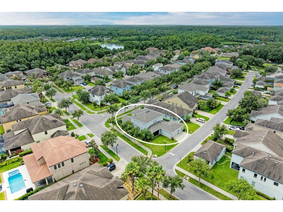 20126 Outpost Point Drive Tampa FL 33647 TB8407630 image3