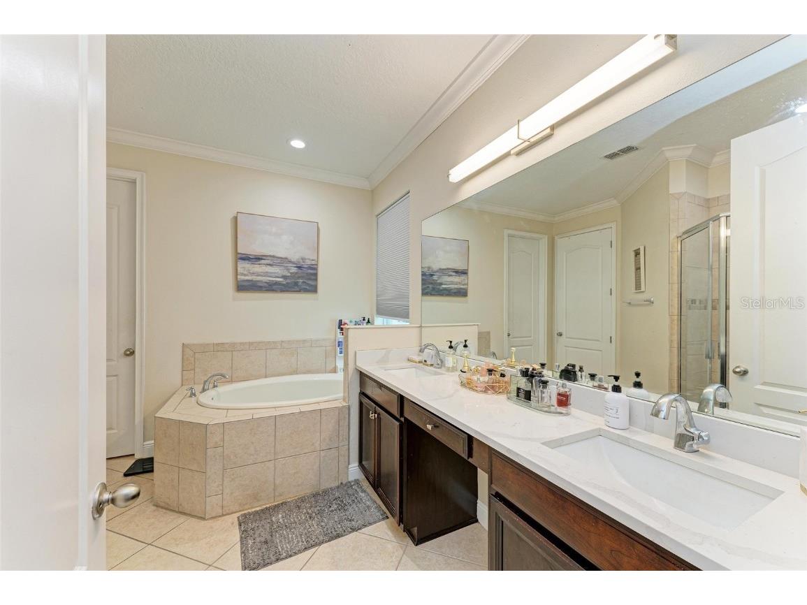 20126 Outpost Point Drive Tampa FL 33647 TB8407630 image31