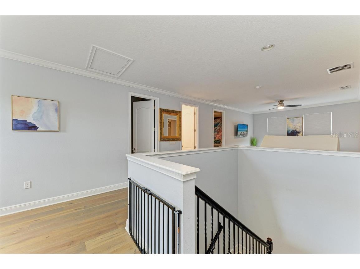 20126 Outpost Point Drive Tampa FL 33647 TB8407630 image34