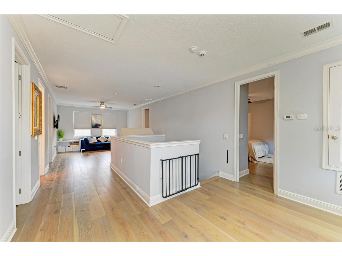 20126 Outpost Point Drive Tampa FL 33647 TB8407630 image36