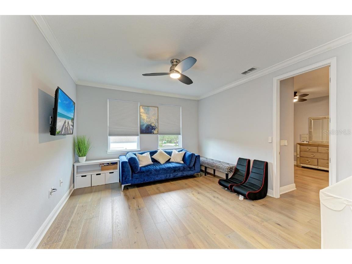 20126 Outpost Point Drive Tampa FL 33647 TB8407630 image37