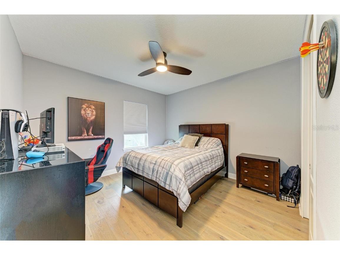 20126 Outpost Point Drive Tampa FL 33647 TB8407630 image46