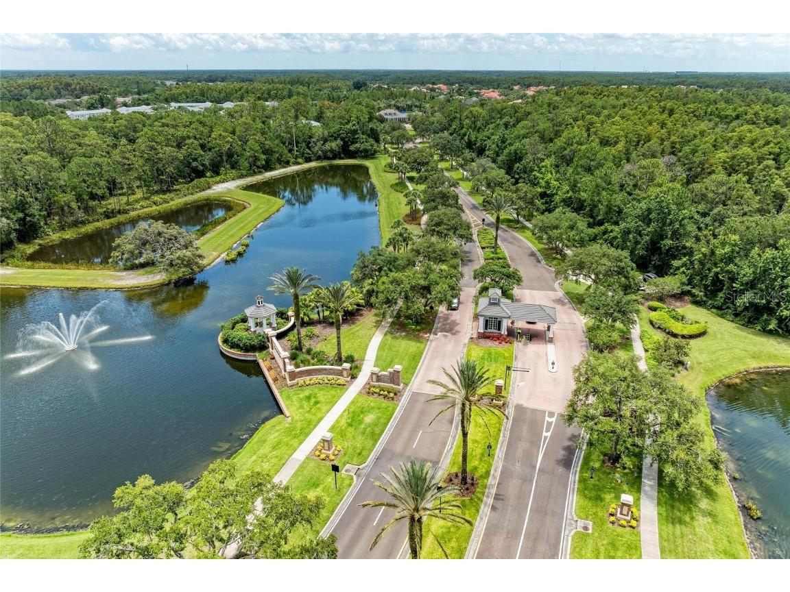 20126 Outpost Point Drive Tampa FL 33647 TB8407630 image62