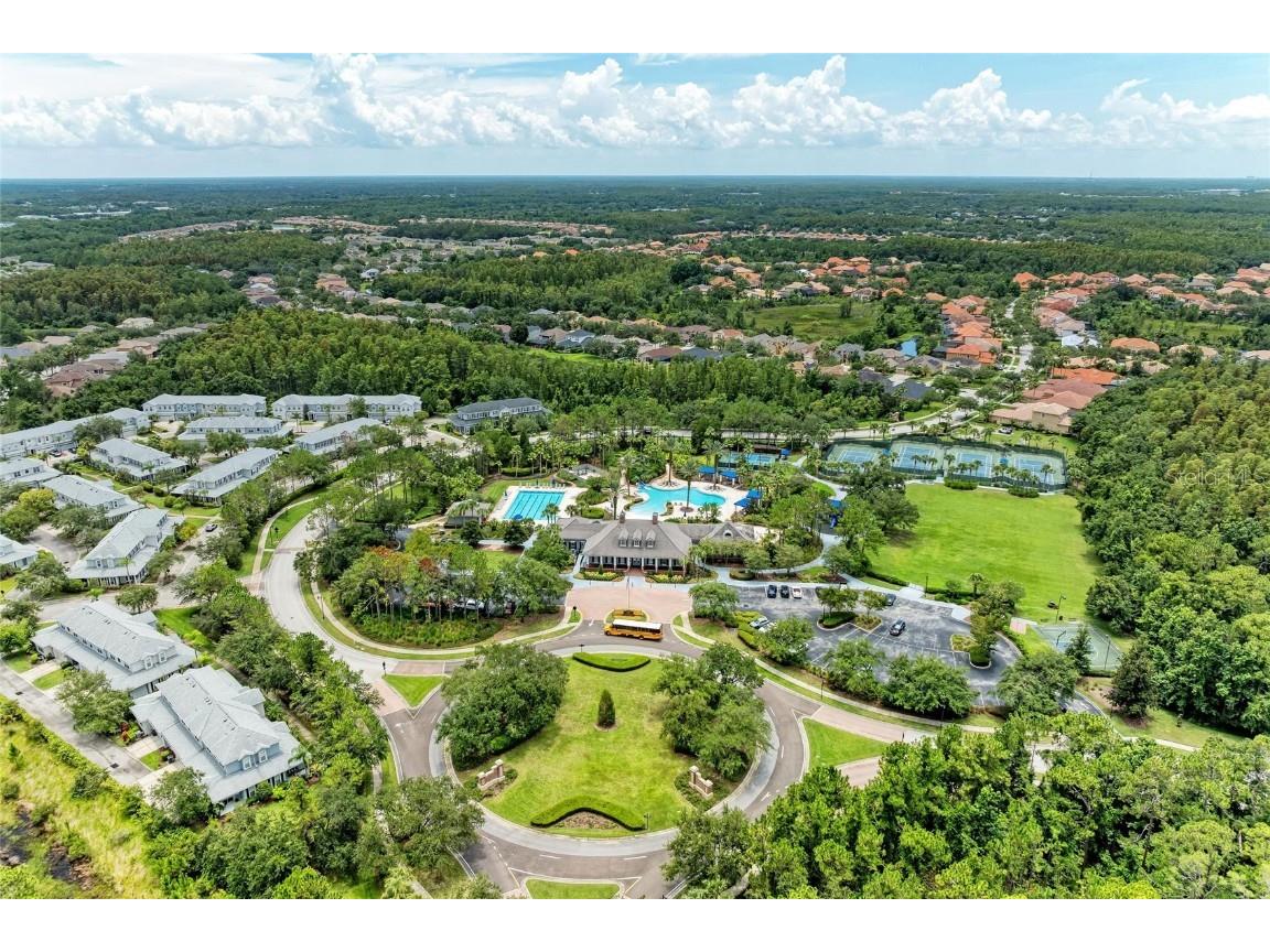 20126 Outpost Point Drive Tampa FL 33647 TB8407630 image65