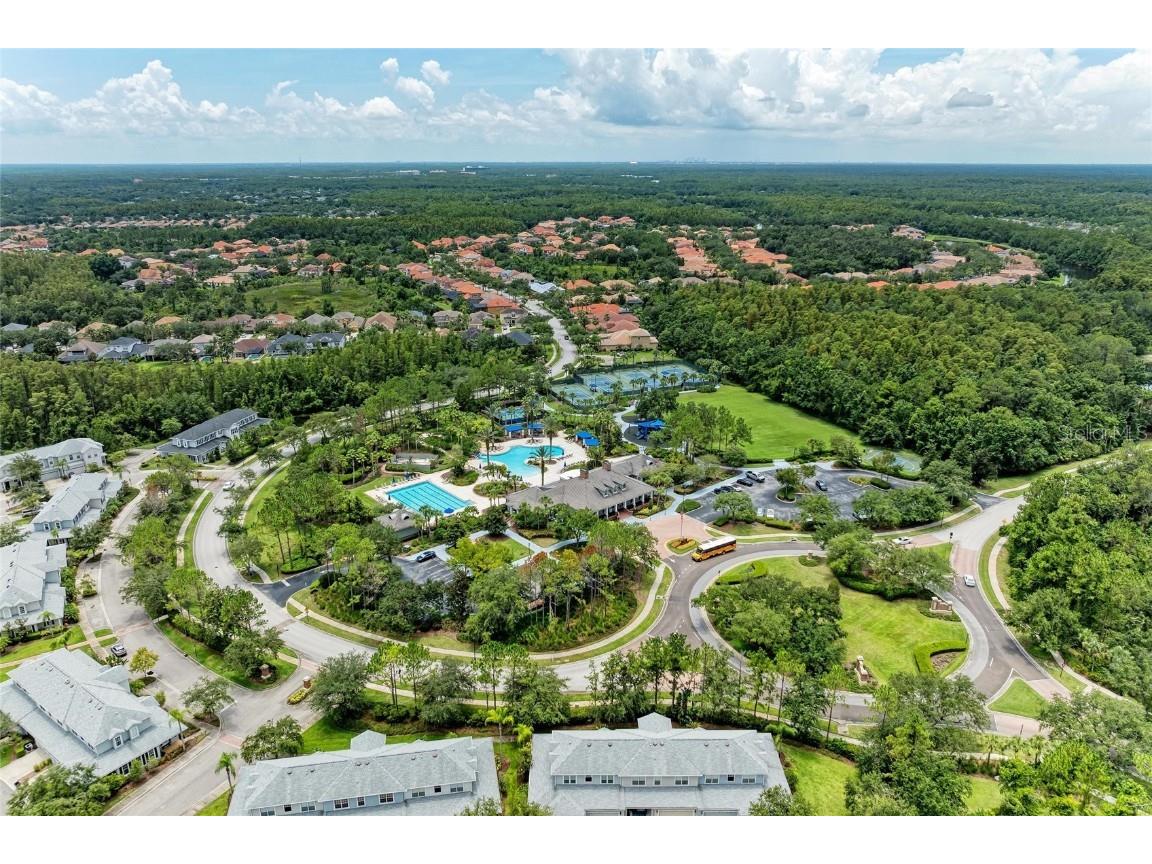 20126 Outpost Point Drive Tampa FL 33647 TB8407630 image66