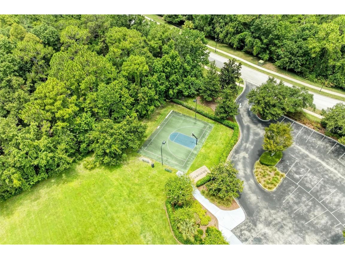 20126 Outpost Point Drive Tampa FL 33647 TB8407630 image71