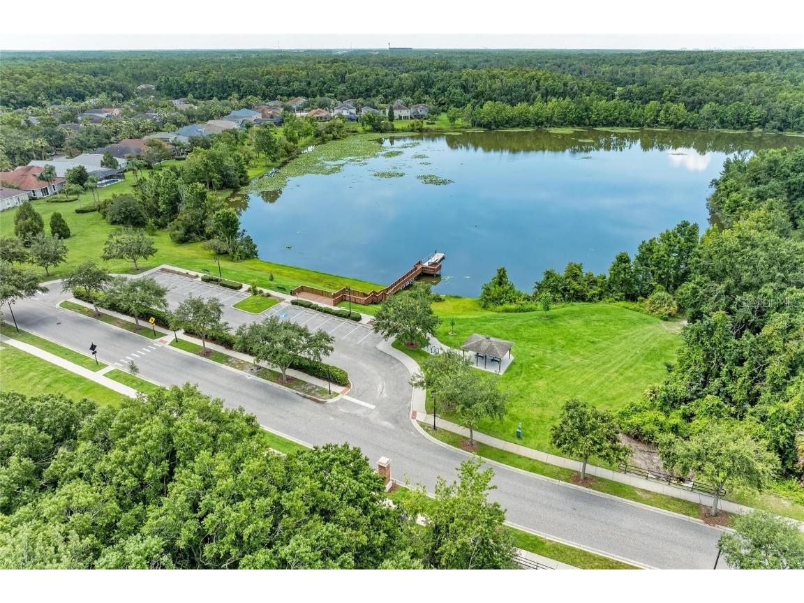 20126 Outpost Point Drive Tampa FL 33647 TB8407630 image73