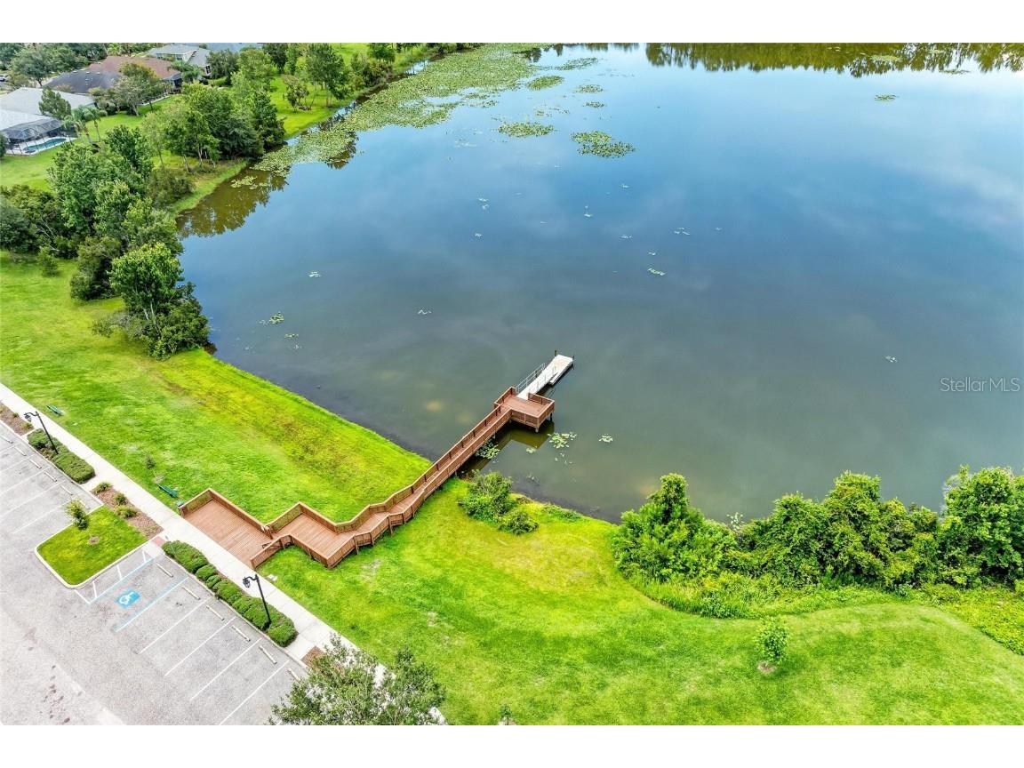 20126 Outpost Point Drive Tampa FL 33647 TB8407630 image75