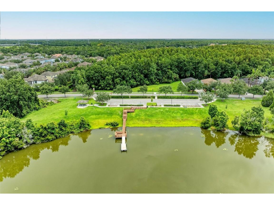 20126 Outpost Point Drive Tampa FL 33647 TB8407630 image76