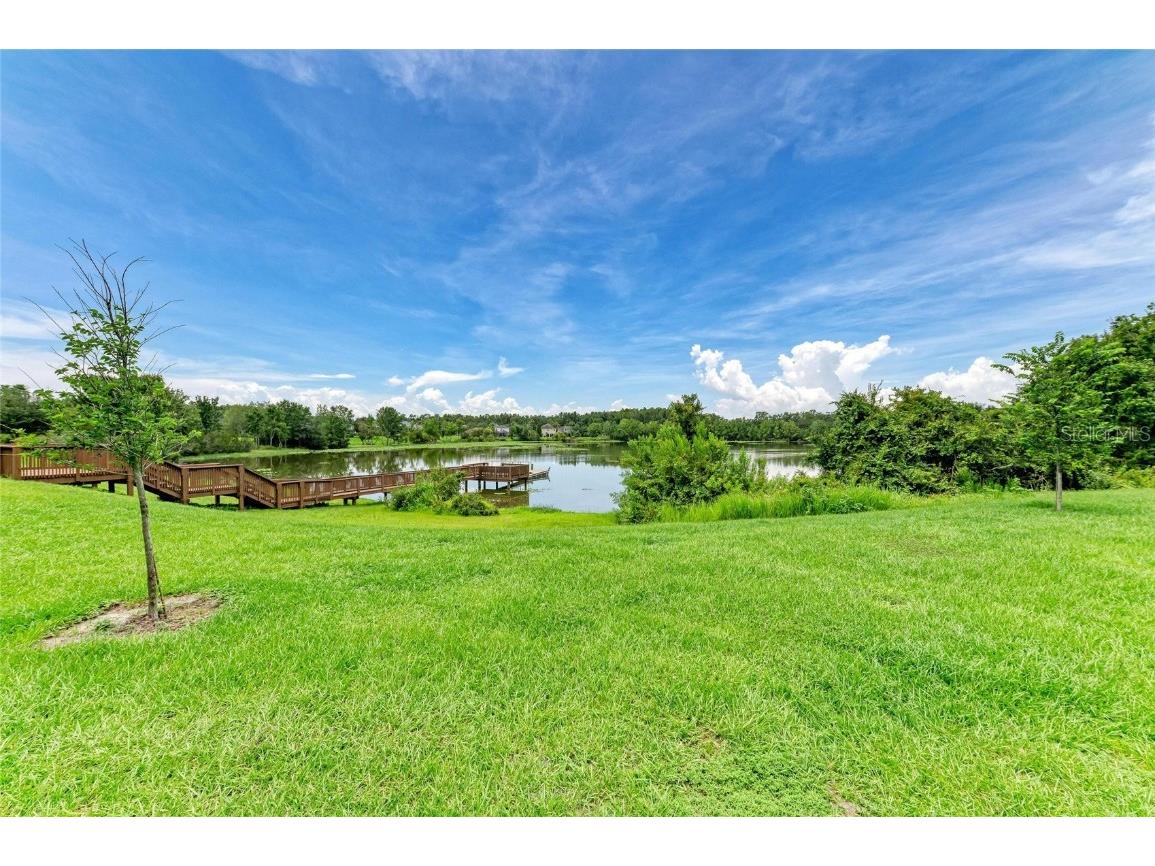20126 Outpost Point Drive Tampa FL 33647 TB8407630 image78
