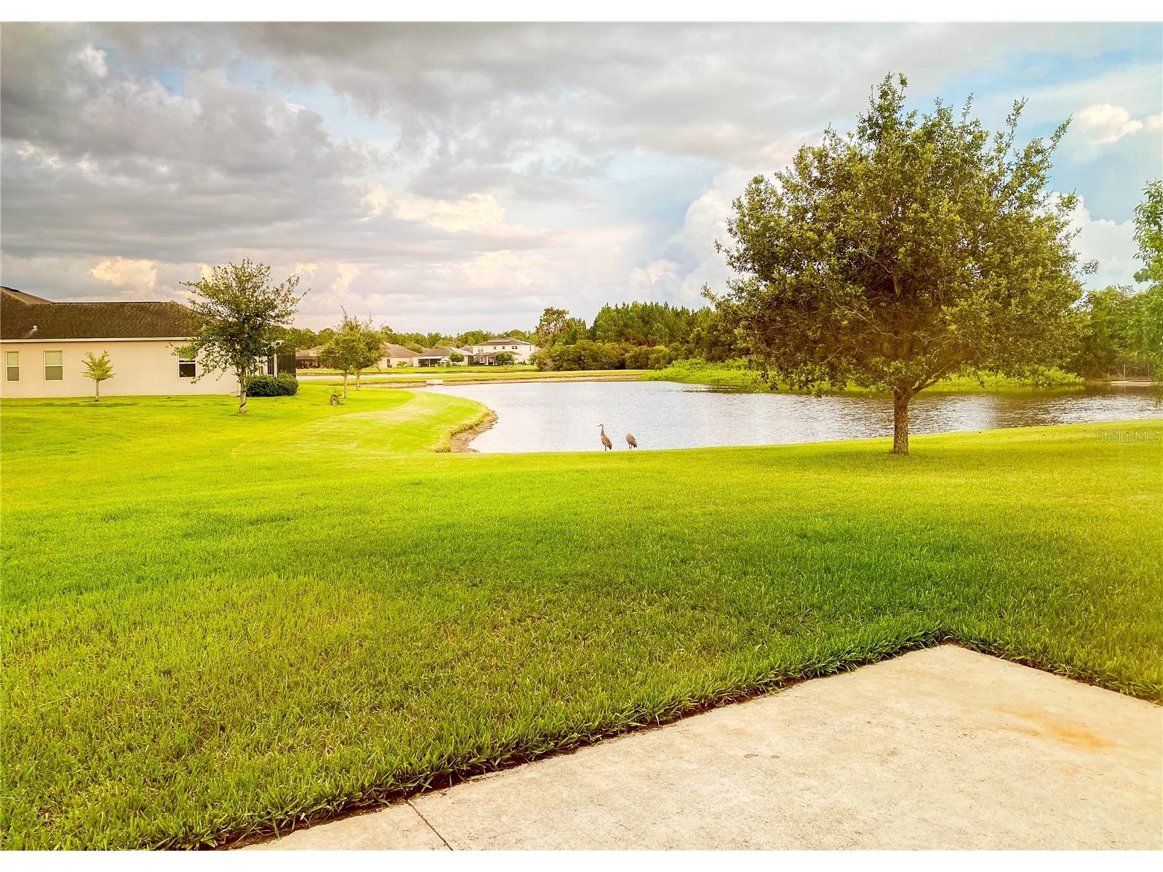20127 Oakflower Avenue Tampa FL 33647 TB8509359 image52