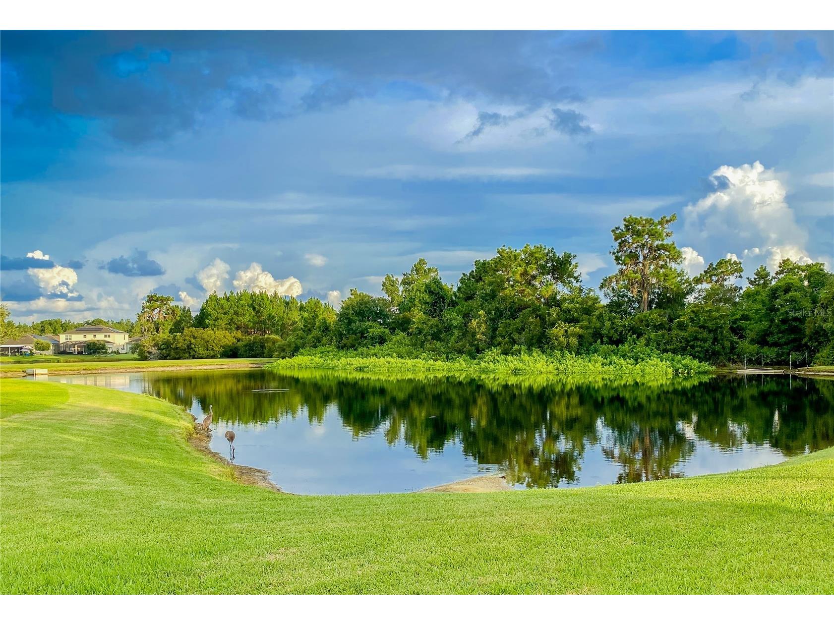 20127 Oakflower Avenue Tampa FL 33647 TB8509359 image6