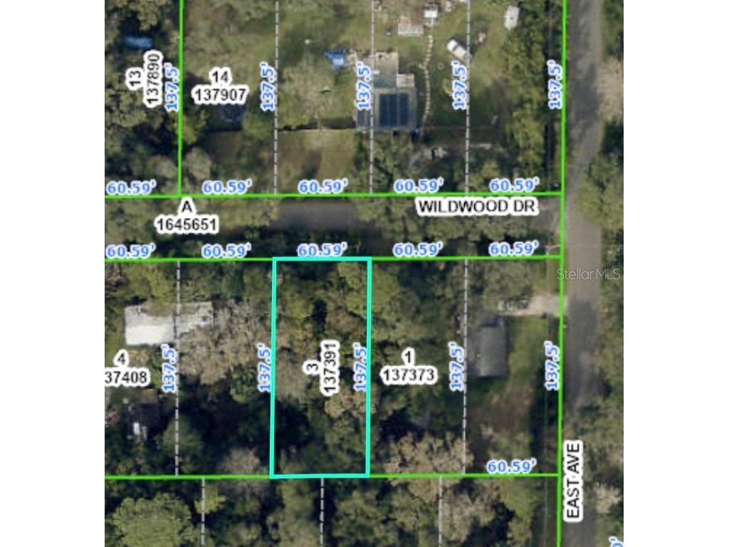 20128 Wildwood Drive Brooksville FL 34601 O6169528 image1