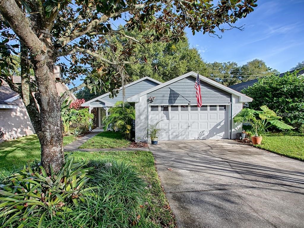 2013 Donnelly Place Mount Dora FL 32757 O6199798 image1