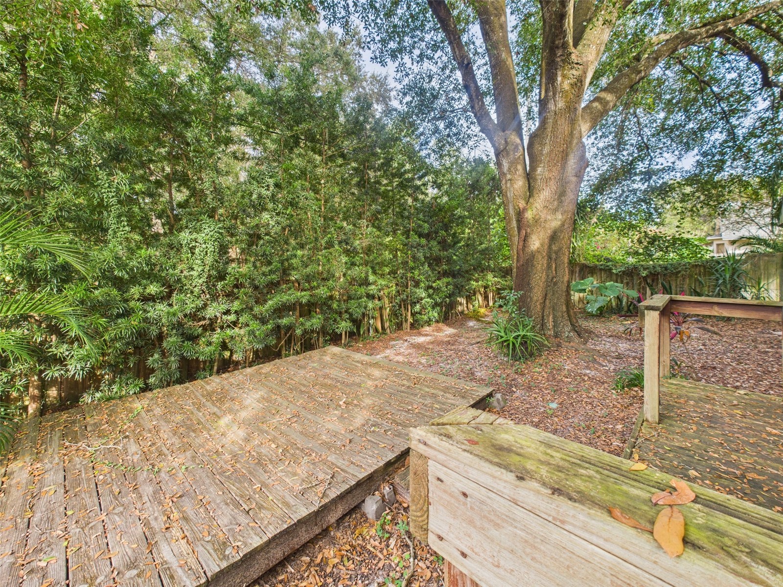 2013 Donnelly Place Mount Dora FL 32757 G5102645 image27