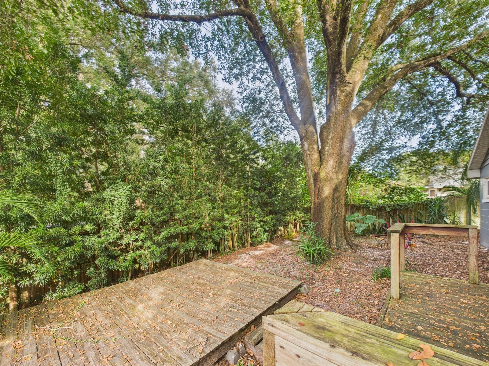 2013 Donnelly Place Mount Dora FL 32757 G5102645 image28