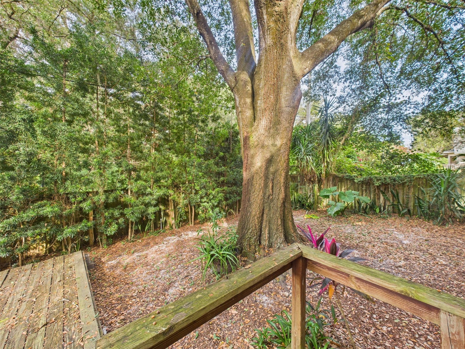 2013 Donnelly Place Mount Dora FL 32757 G5102645 image29