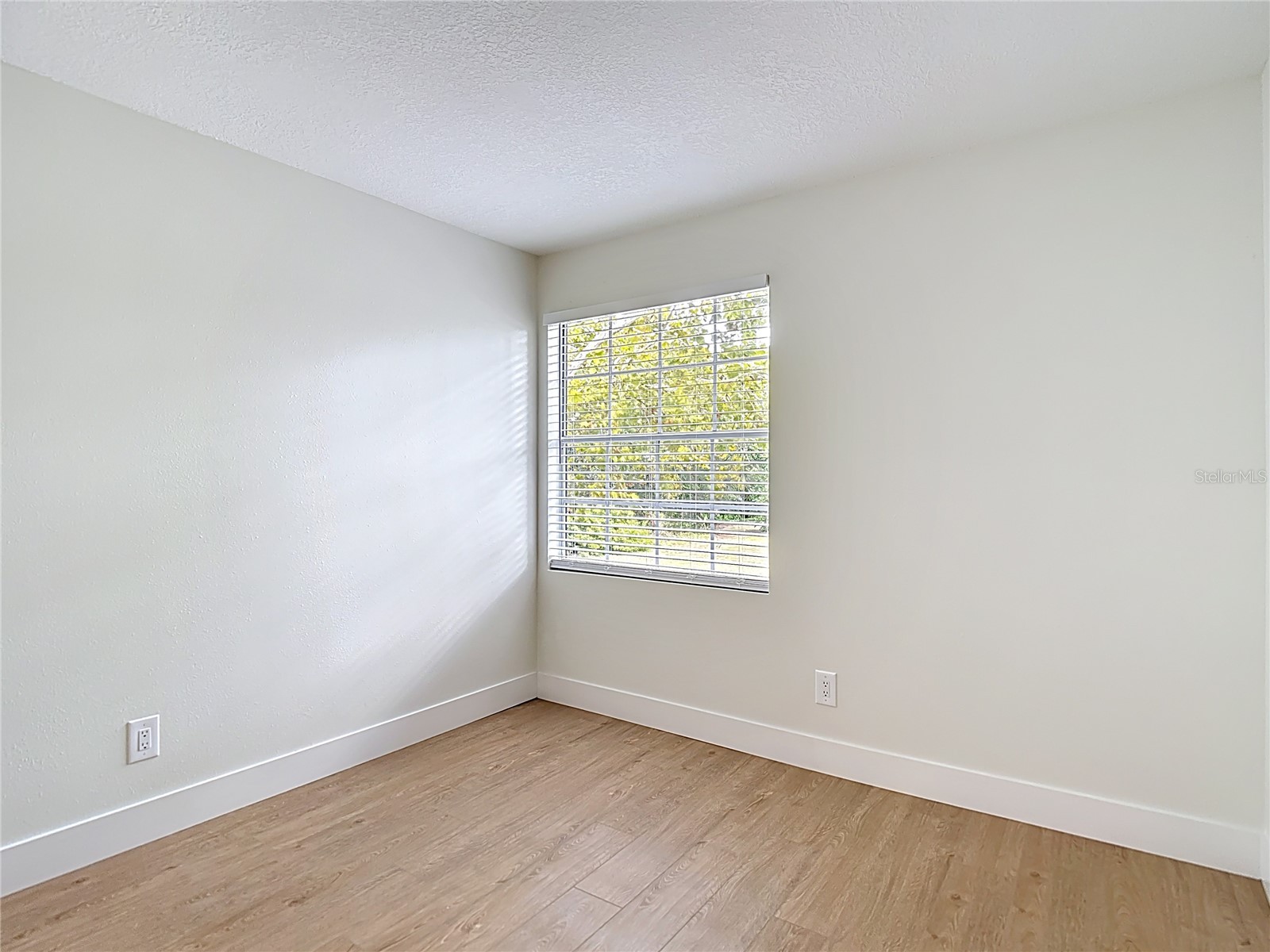 2013 Glen Forge Street Brandon FL 33511 TB8457661 image41