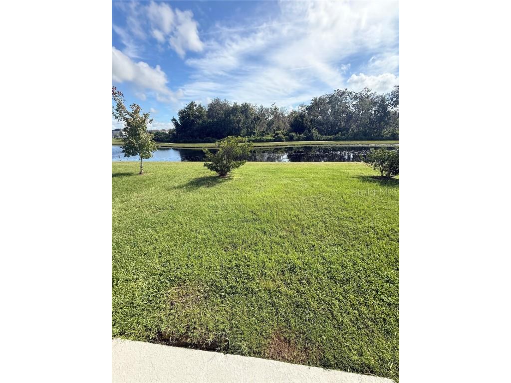 2013 Myrtle Pine Street Kissimmee FL 34746 O6340517 image32