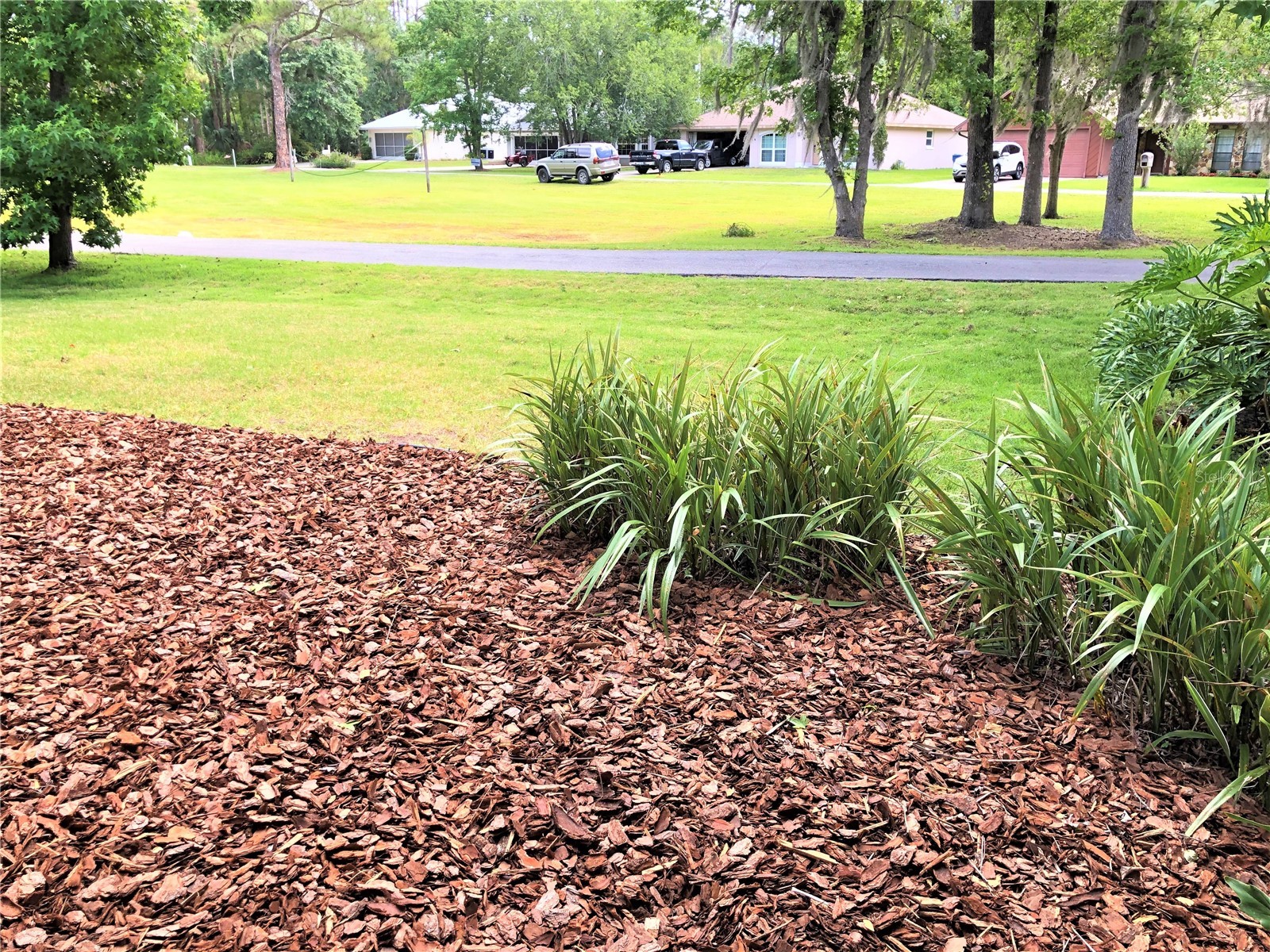 2013 Quail Hollow Dr Deland FL 32720 - ST JOHNS RIVER V4948884 image32
