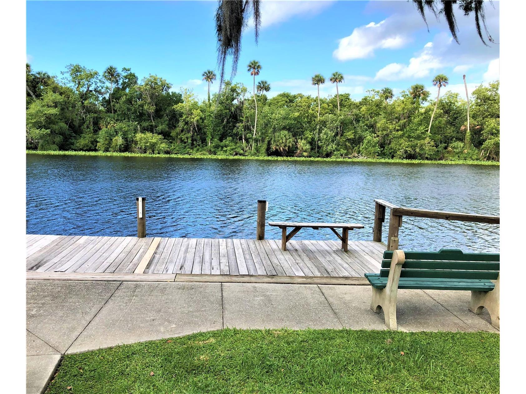 2013 Quail Hollow Dr Deland FL 32720 - ST JOHNS RIVER V4948884 image5