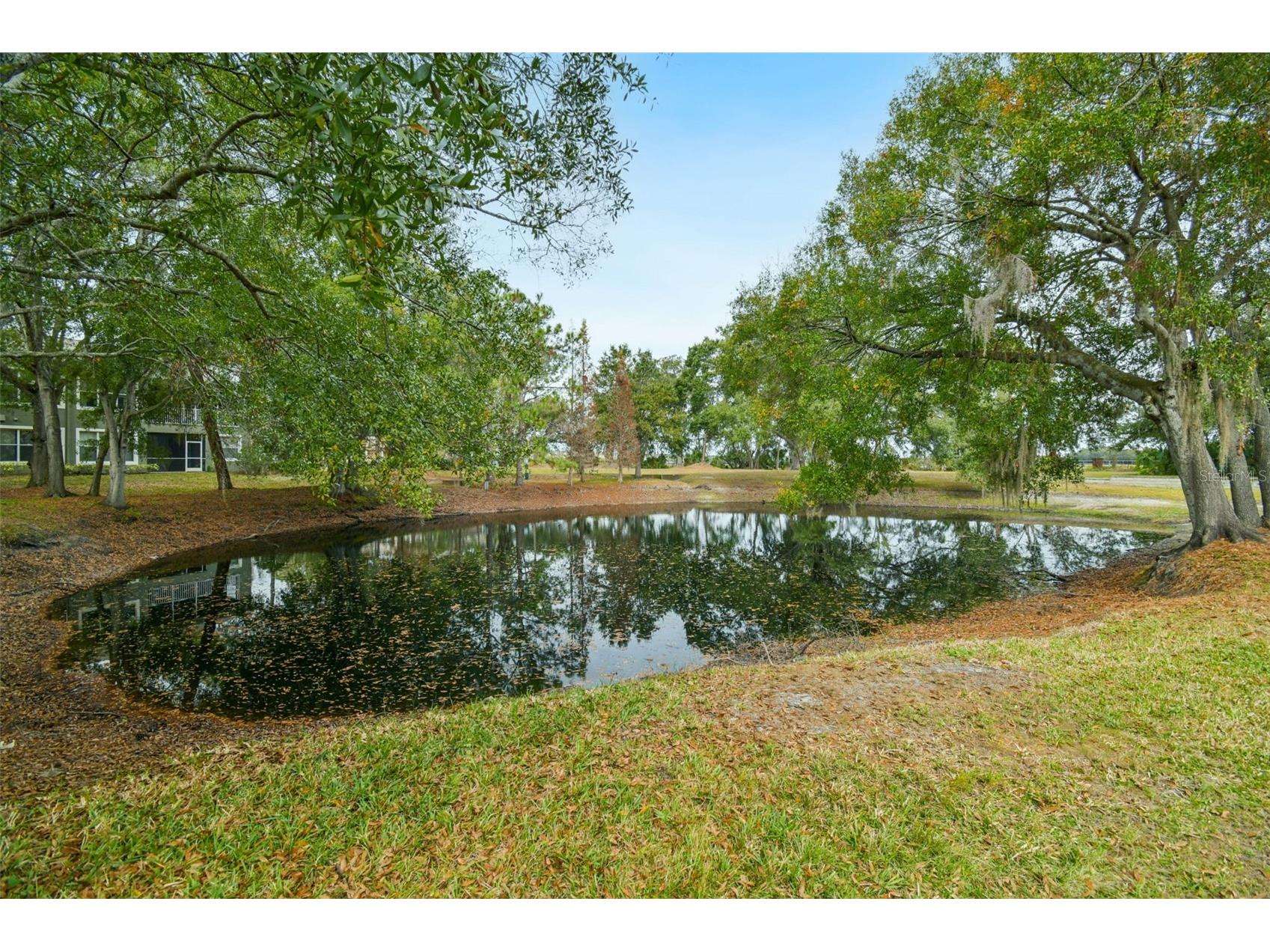 2013 Santa Catalina Lane Riverview FL 33578 TB8464101 image23