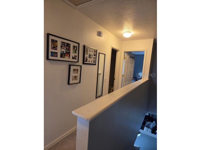 2013 Sea Front Court Clearwater FL 33763 TB8432755 image13