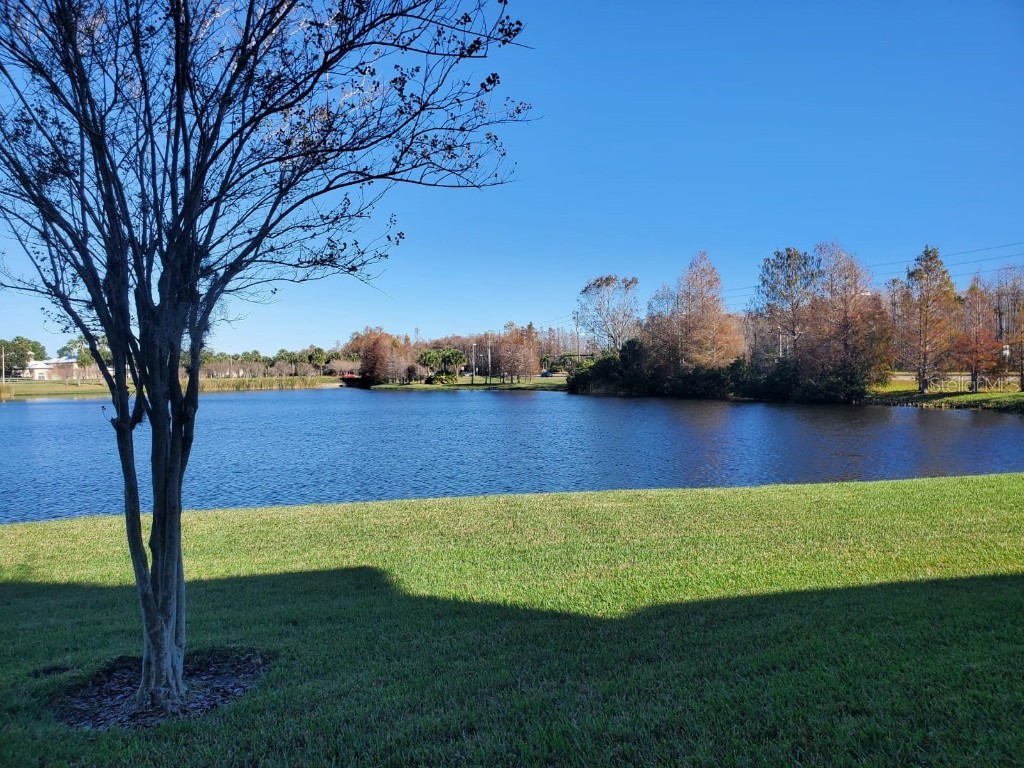 2013 Tizewell Circle #1403 Orlando FL 32837 O6349588 image37