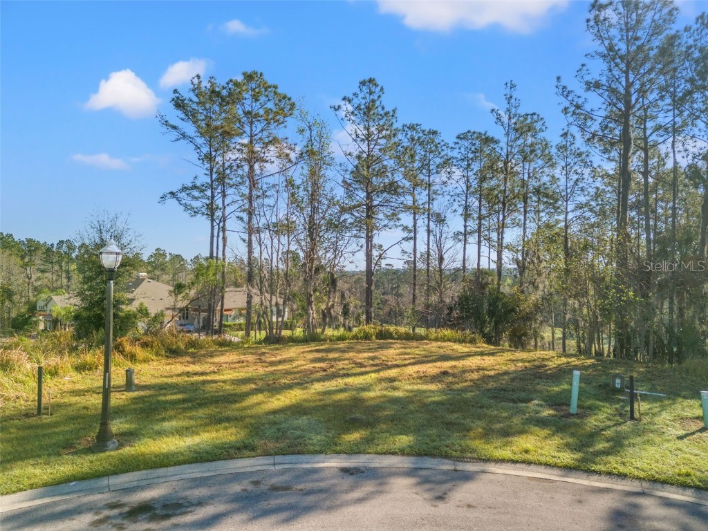 20132 English Walnut Place Brooksville FL 34601 TB8354960 image9