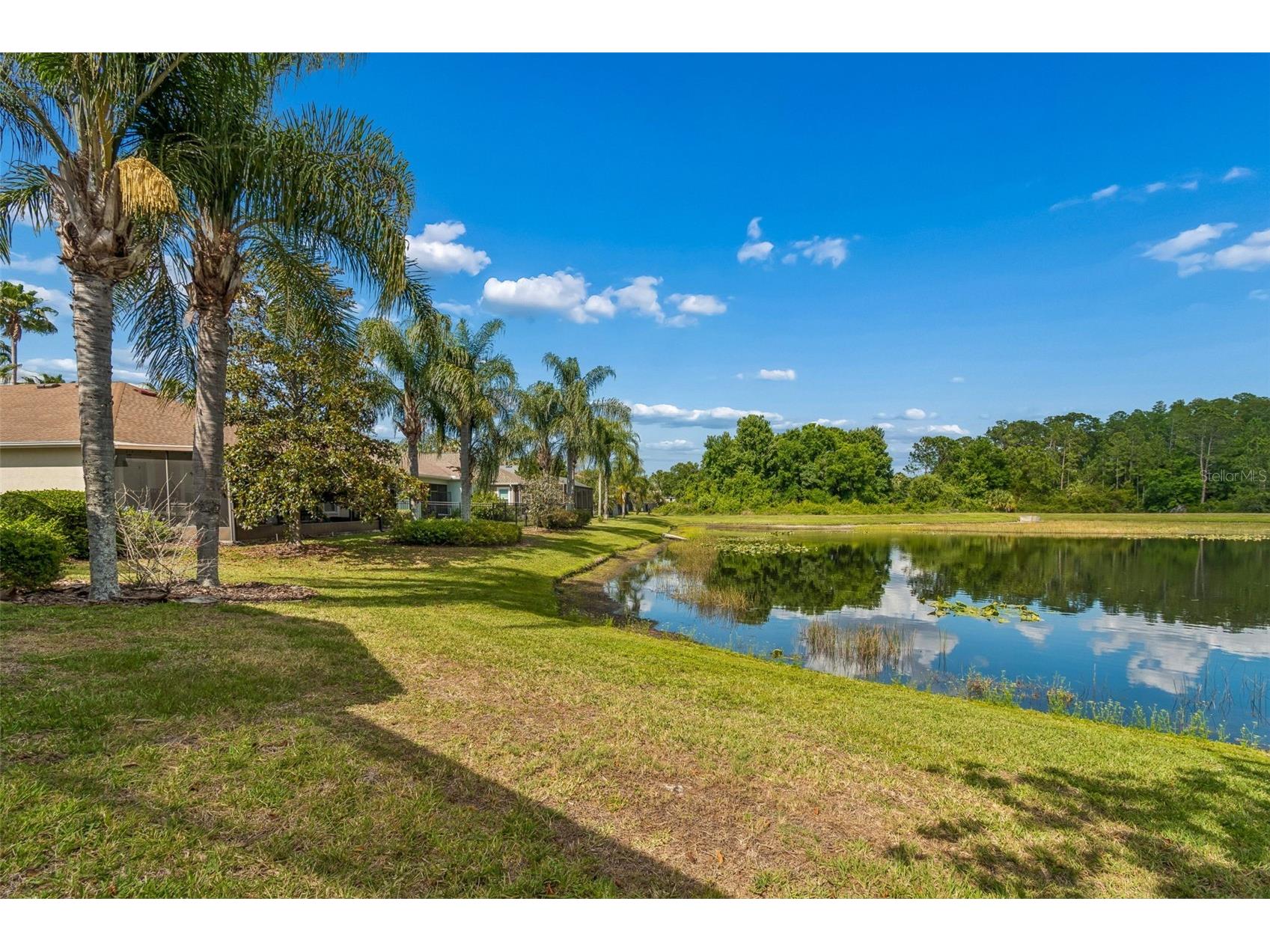 20133 Heron Crossing Drive Tampa FL 33647 TB8503823 image60