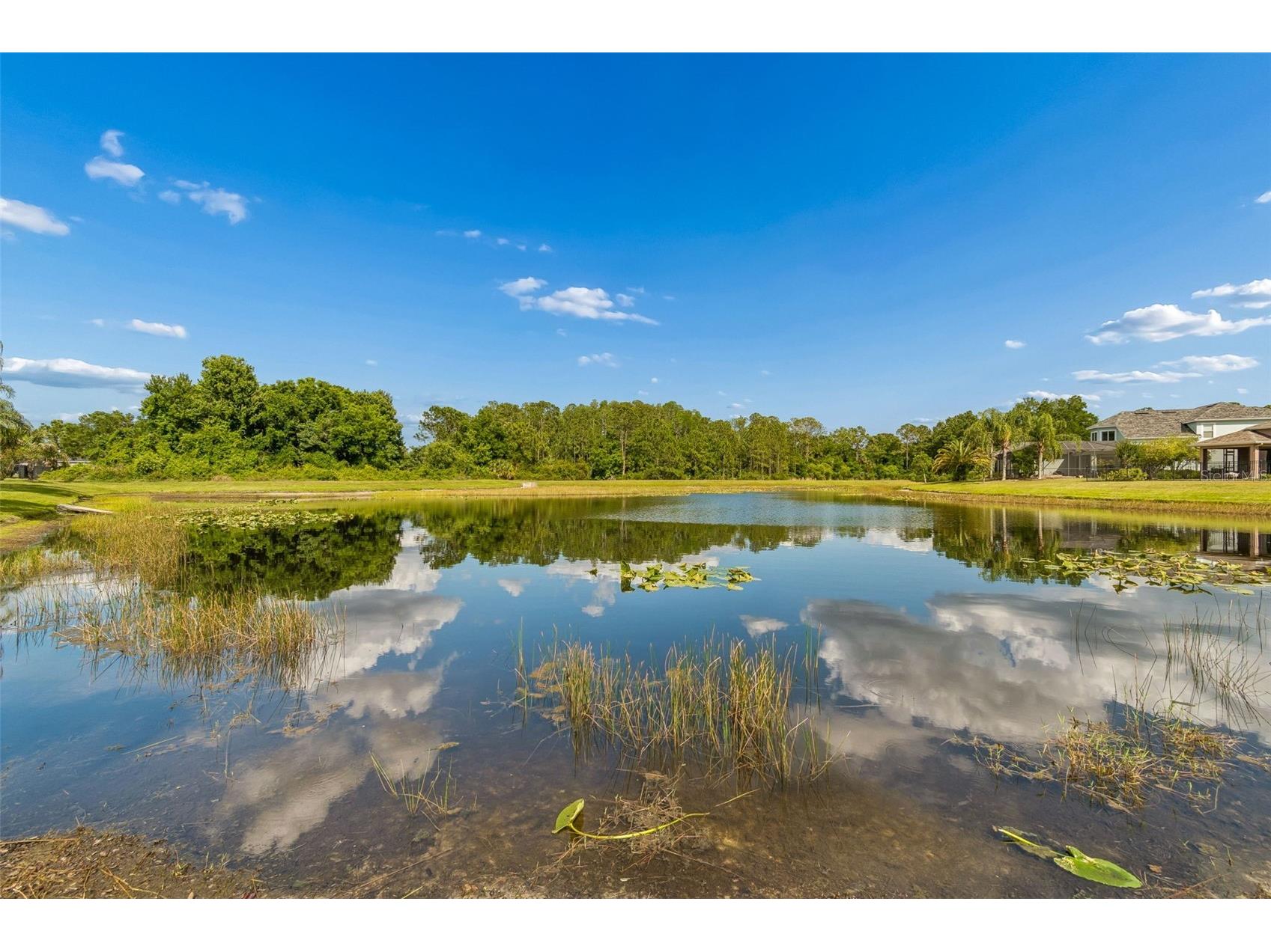 20133 Heron Crossing Drive Tampa FL 33647 TB8503823 image63