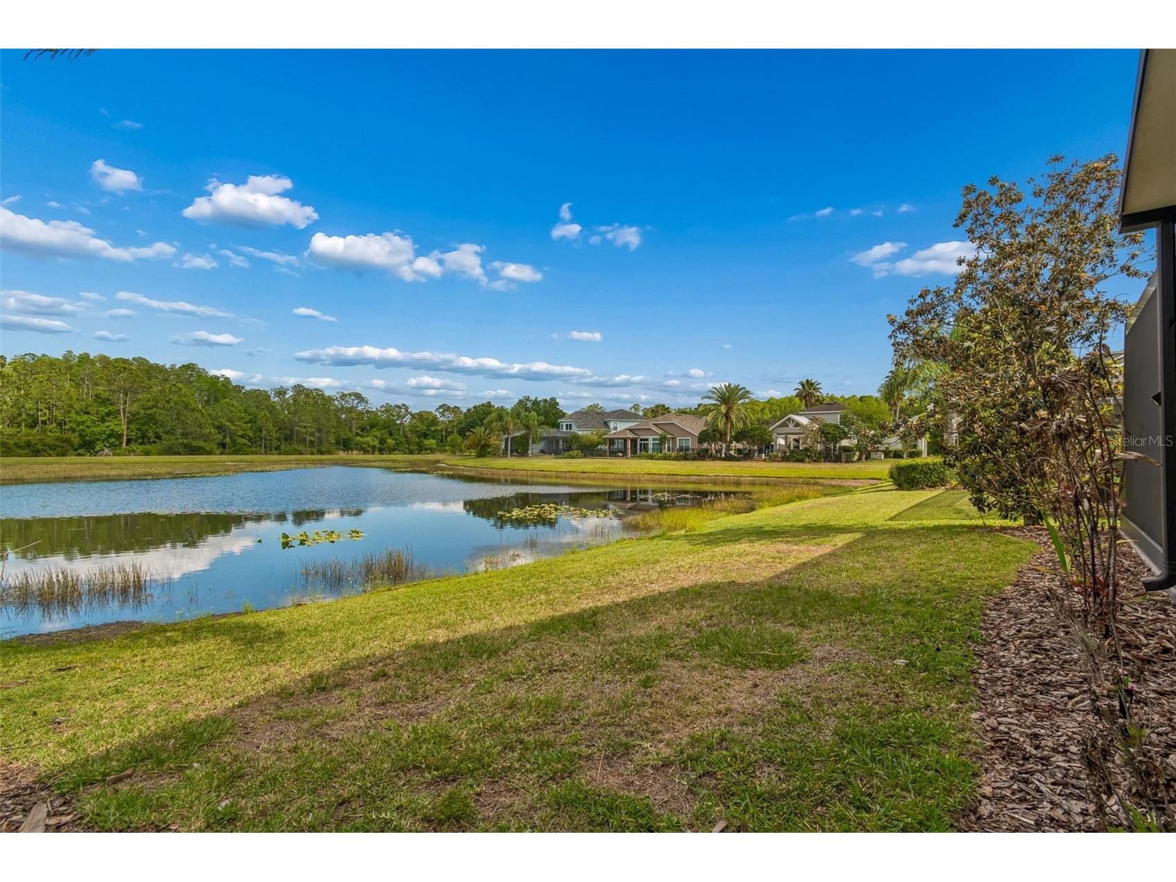 20133 Heron Crossing Drive Tampa FL 33647 TB8503823 image65