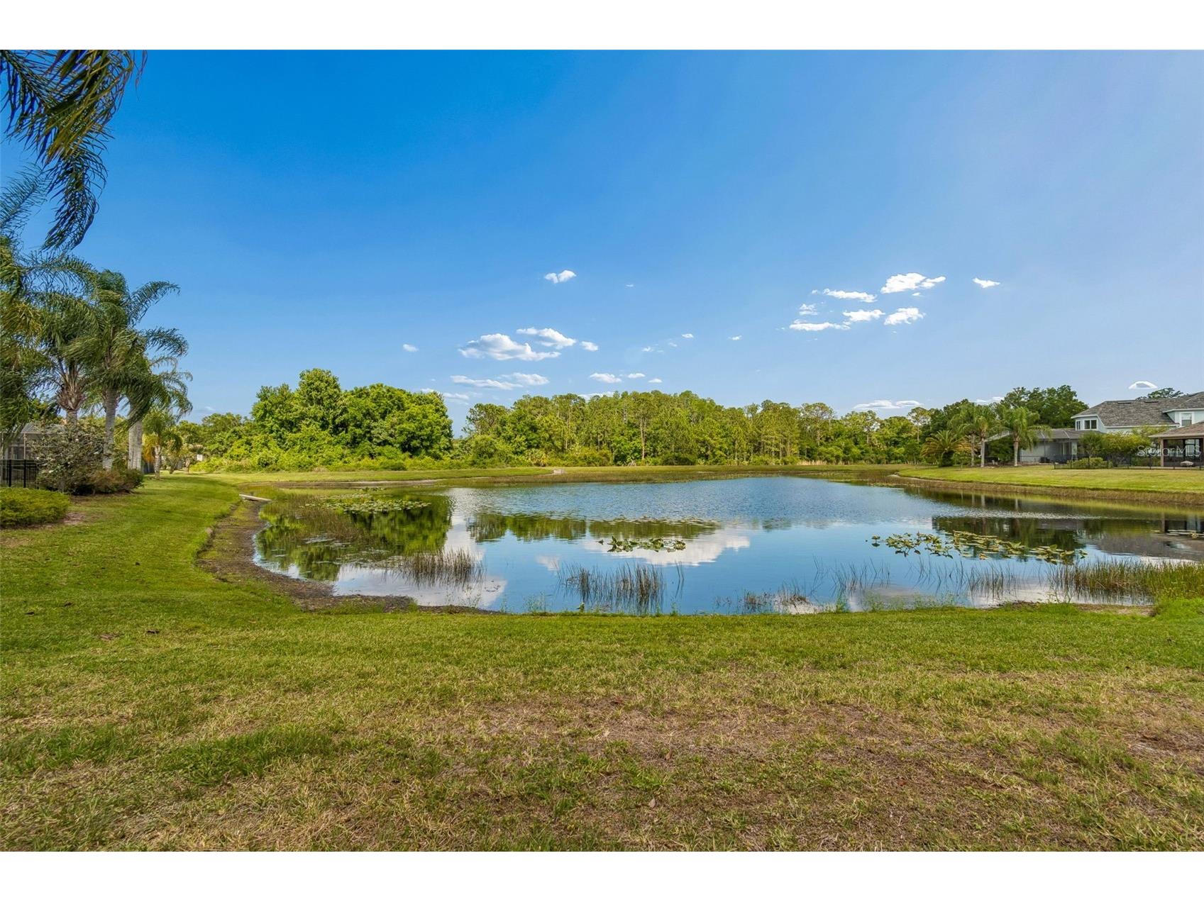 20133 Heron Crossing Drive Tampa FL 33647 TB8503823 image66