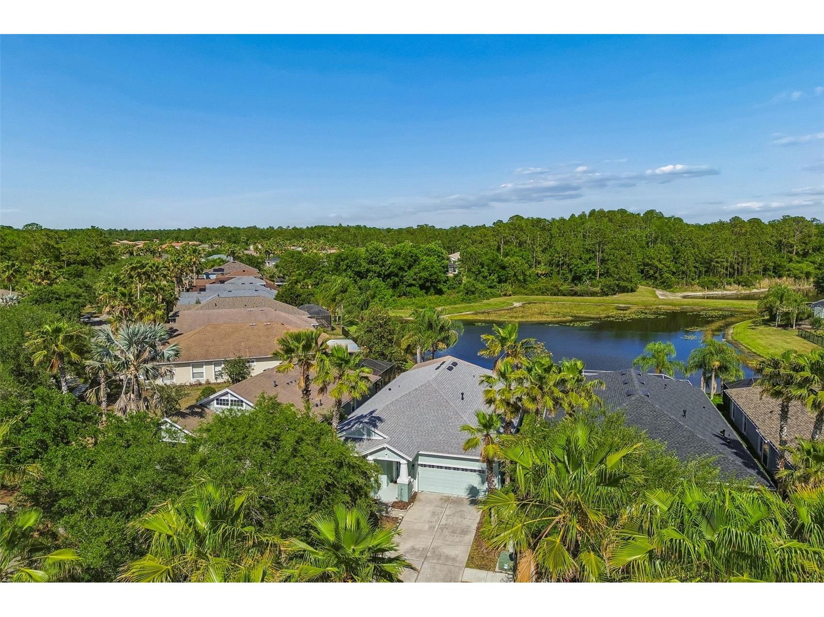 20133 Heron Crossing Drive Tampa FL 33647 TB8503823 image67