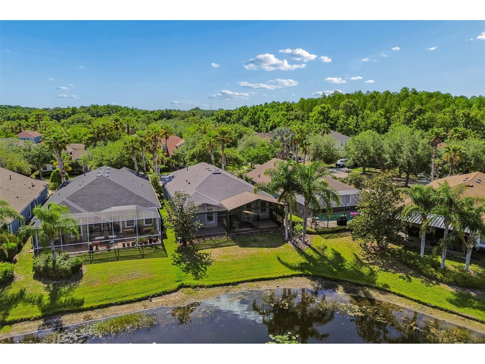 20133 Heron Crossing Drive Tampa FL 33647 TB8503823 image70