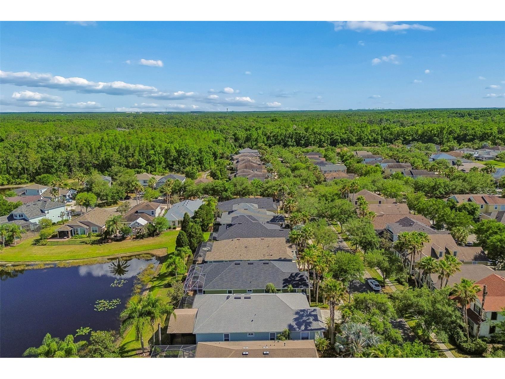 20133 Heron Crossing Drive Tampa FL 33647 TB8503823 image72