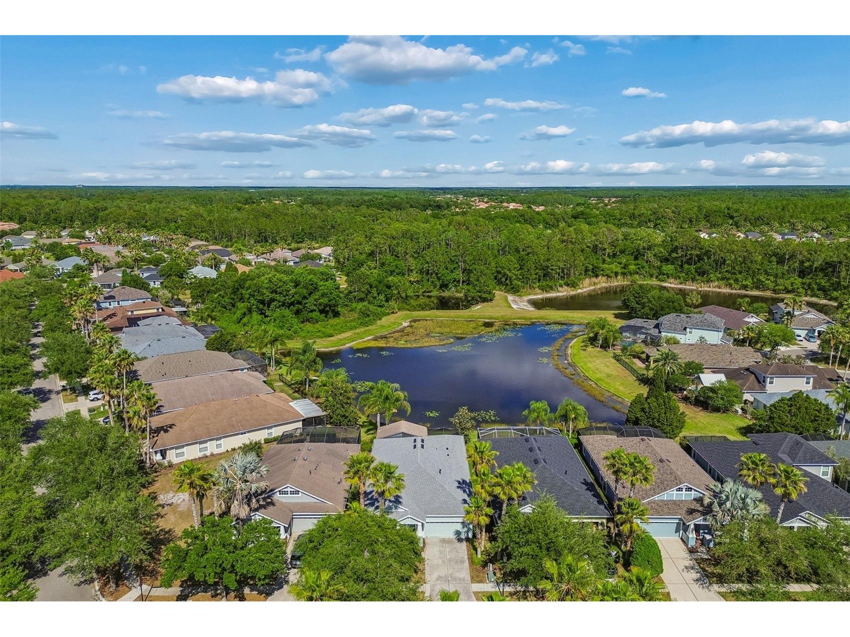 20133 Heron Crossing Drive Tampa FL 33647 TB8503823 image73