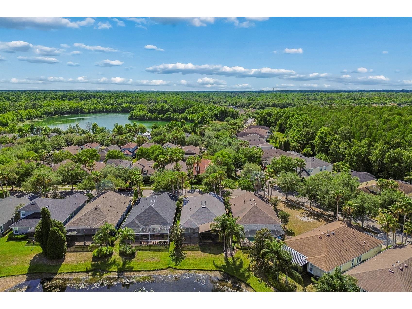 20133 Heron Crossing Drive Tampa FL 33647 TB8503823 image74