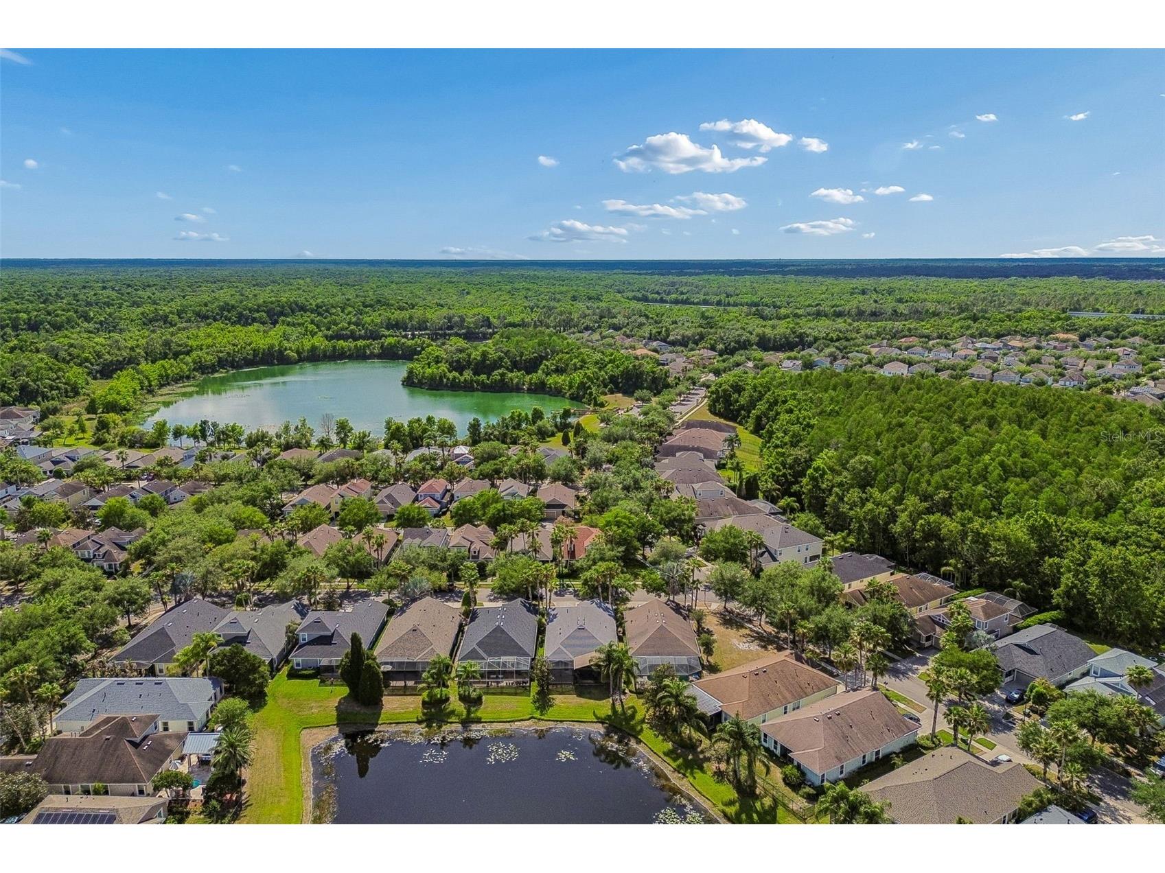 20133 Heron Crossing Drive Tampa FL 33647 TB8503823 image75