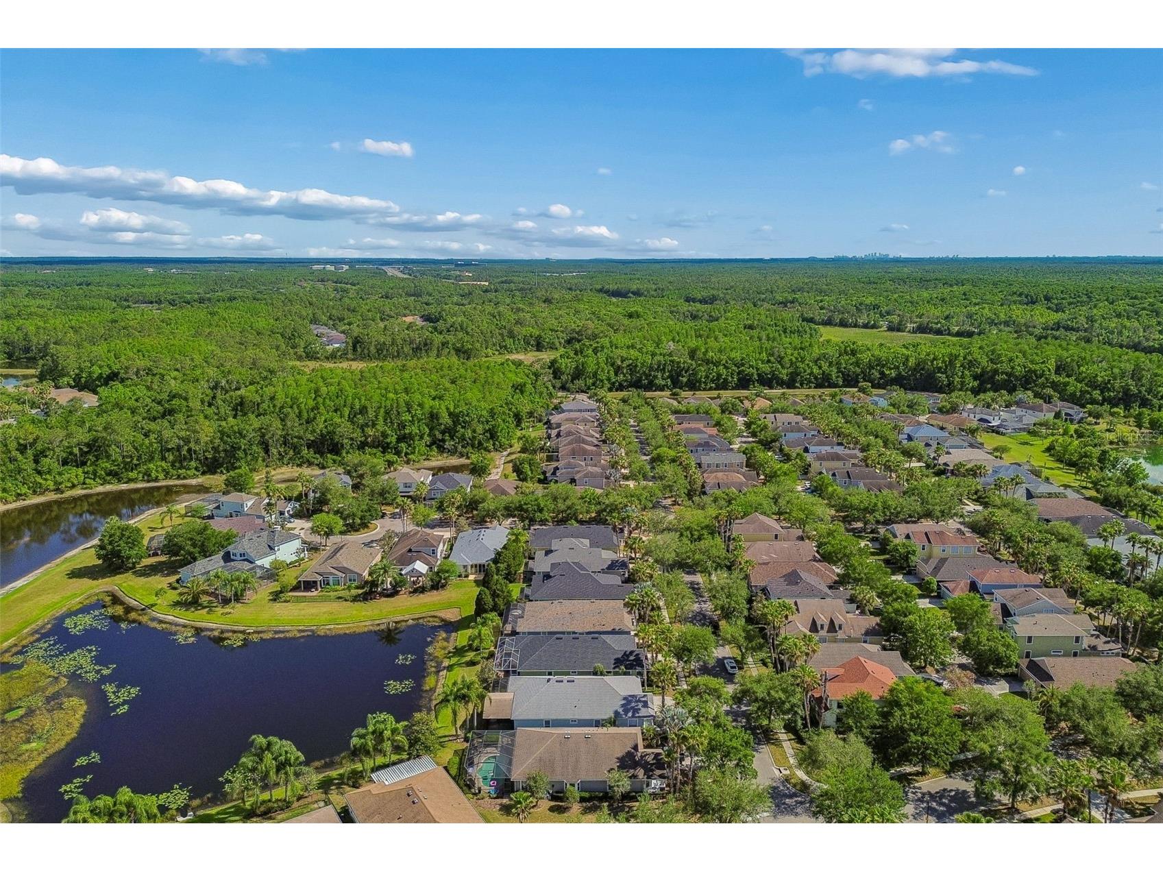 20133 Heron Crossing Drive Tampa FL 33647 TB8503823 image76