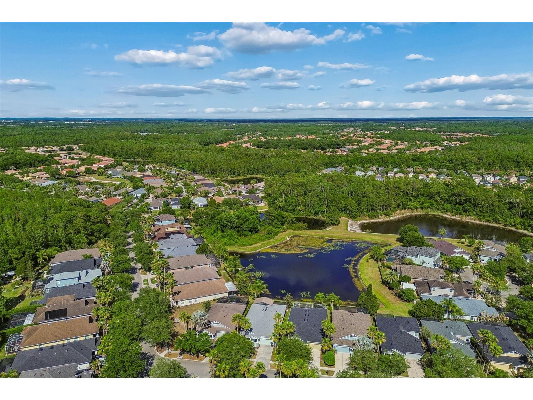 20133 Heron Crossing Drive Tampa FL 33647 TB8503823 image77