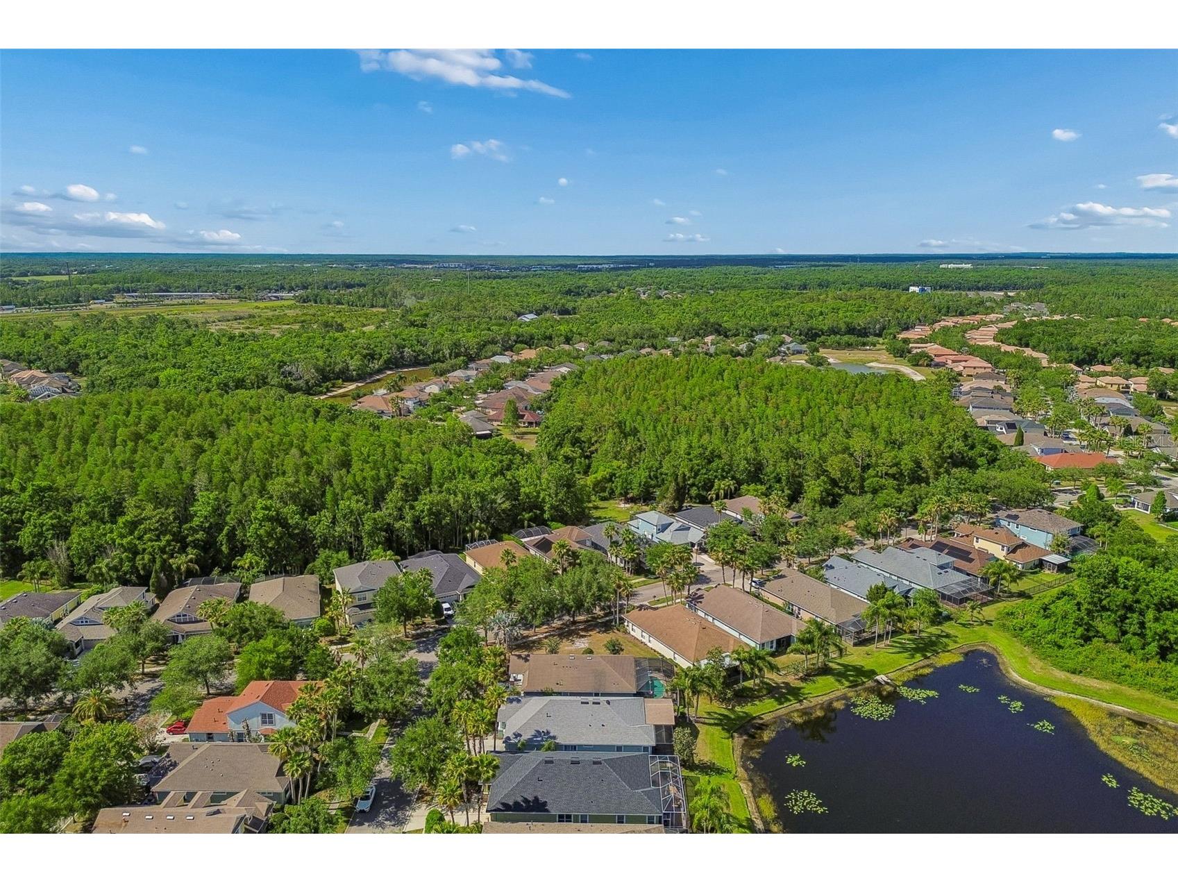 20133 Heron Crossing Drive Tampa FL 33647 TB8503823 image78